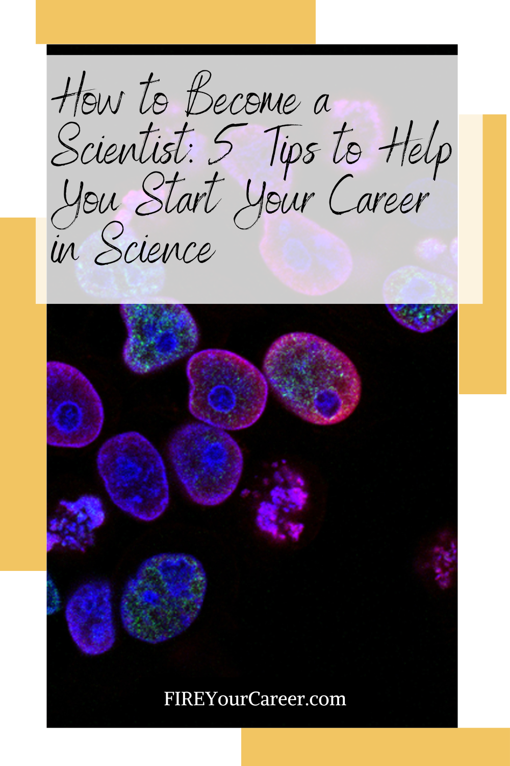 How to Become a Scientist 5 Tips to Help You Start Your Career in Science